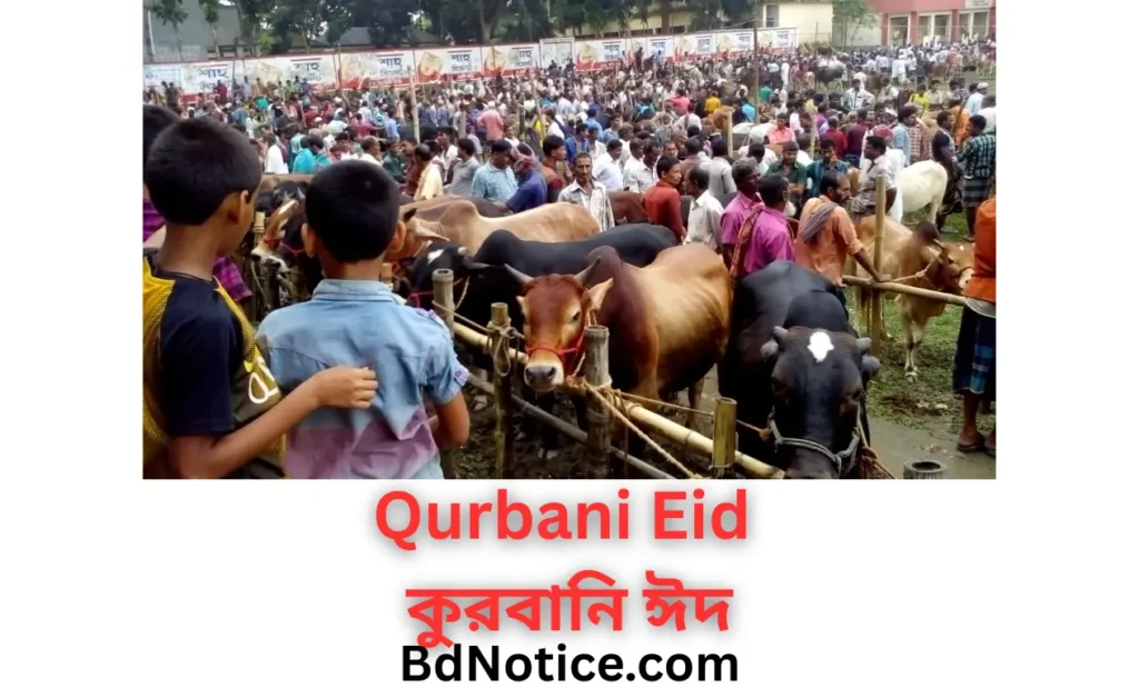 Current image: Qurbani Eid 2025 | কুরবানি ঈদ ২০২৫
