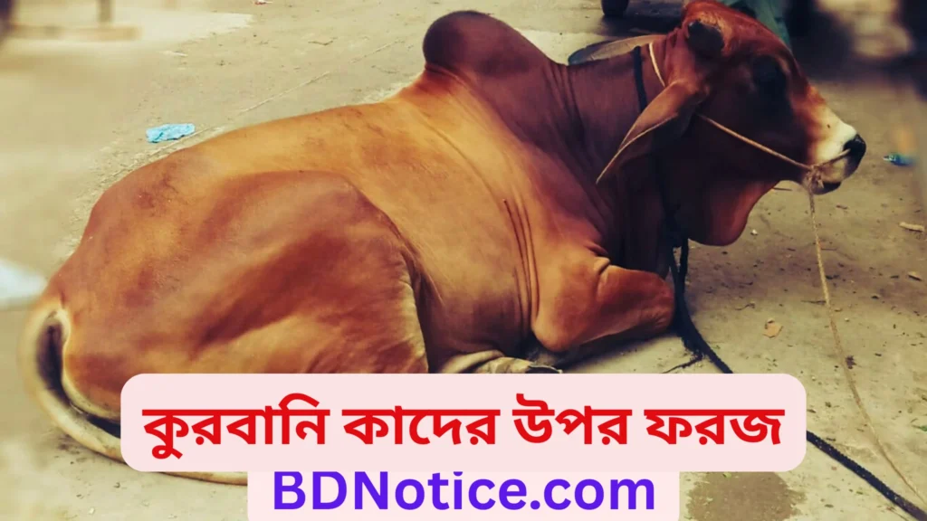 কুরবানি কাদের উপর ফরজ | কুরবানী ওয়াজিব হওয়ার শর্ত কয়টি